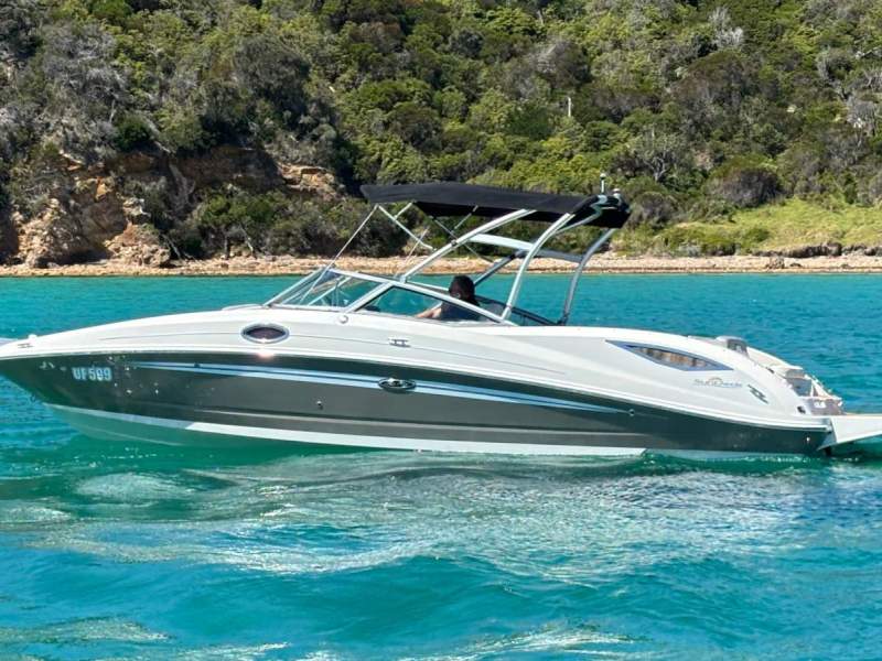 Sea Ray 290 Sundeck