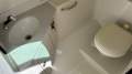 Sea Ray 290 Sundeck