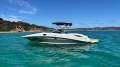 Sea Ray 290 Sundeck