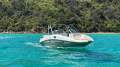 Sea Ray 290 Sundeck