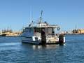 Cougar Cat 34 with 2019 Suzuki 250Hp Outboards