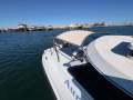 Cougar Cat 34 with 2019 Suzuki 250Hp Outboards