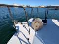 Cougar Cat 34 with 2019 Suzuki 250Hp Outboards