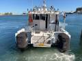 Cougar Cat 34 with 2019 Suzuki 250Hp Outboards
