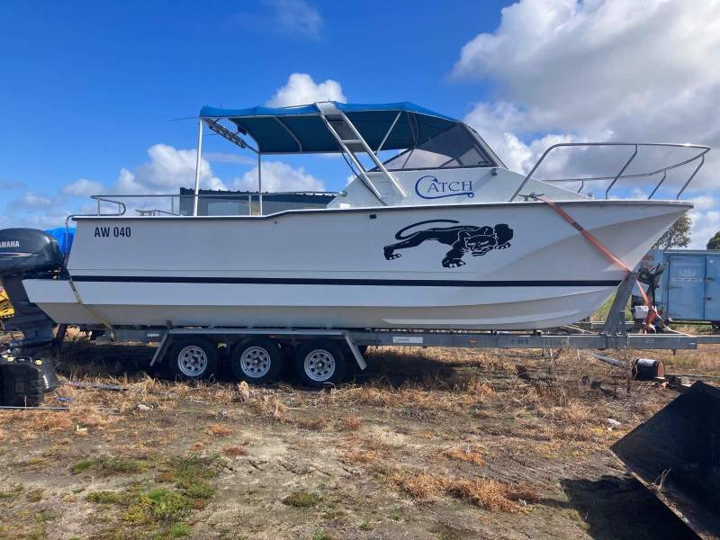 Cougar Cat Fibreglass