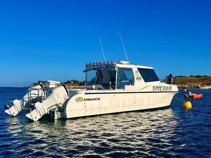 Leisurecat 9000 Kingfisher