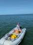 Seawind 1260 'KISKADEE'