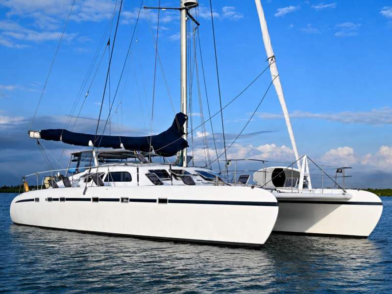 Freebird 50