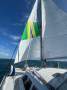 Freebird 50