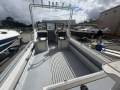 Assassin 520 Runabout