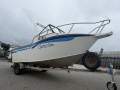 Assassin 520 Runabout