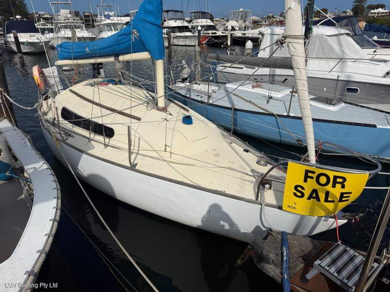 Triton 24