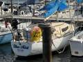 Triton 24