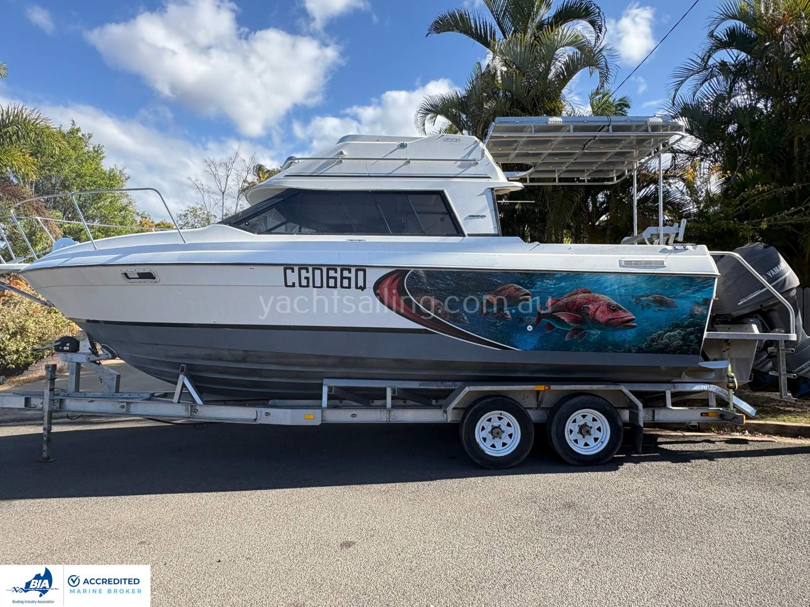 Bayliner 2556 Ciera Command Bridge Converted to outboards