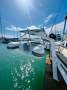 Gold Island Aft Cabin