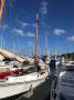 Newhaven Sharpie Phil Bolger Design