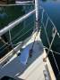 Arends 33