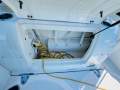 Sea Ray 260 Sundancer