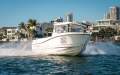 Arvor 555 Sportsfish