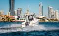 Arvor 555 Sportsfish