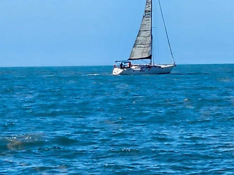Gib Sea 44.2 Master