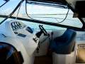 Bavaria Sport 38