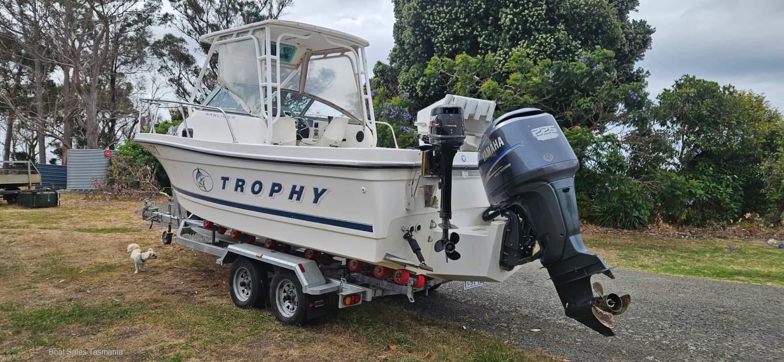 Bayliner 2002 Trophy Pro Walkaround