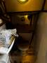 Roberts 33 Cutter Rig Sloop Unreserved