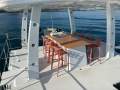 Multihull Custom 10m Powered Day Boat