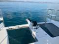 Multihull Custom 10m Powered Day Boat
