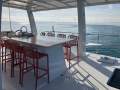 Multihull Custom 10m Powered Day Boat