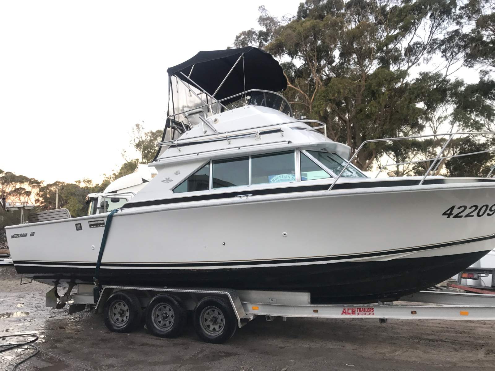 Bertram Caribbean 28 Flybridge 1987 Model Zoommmm