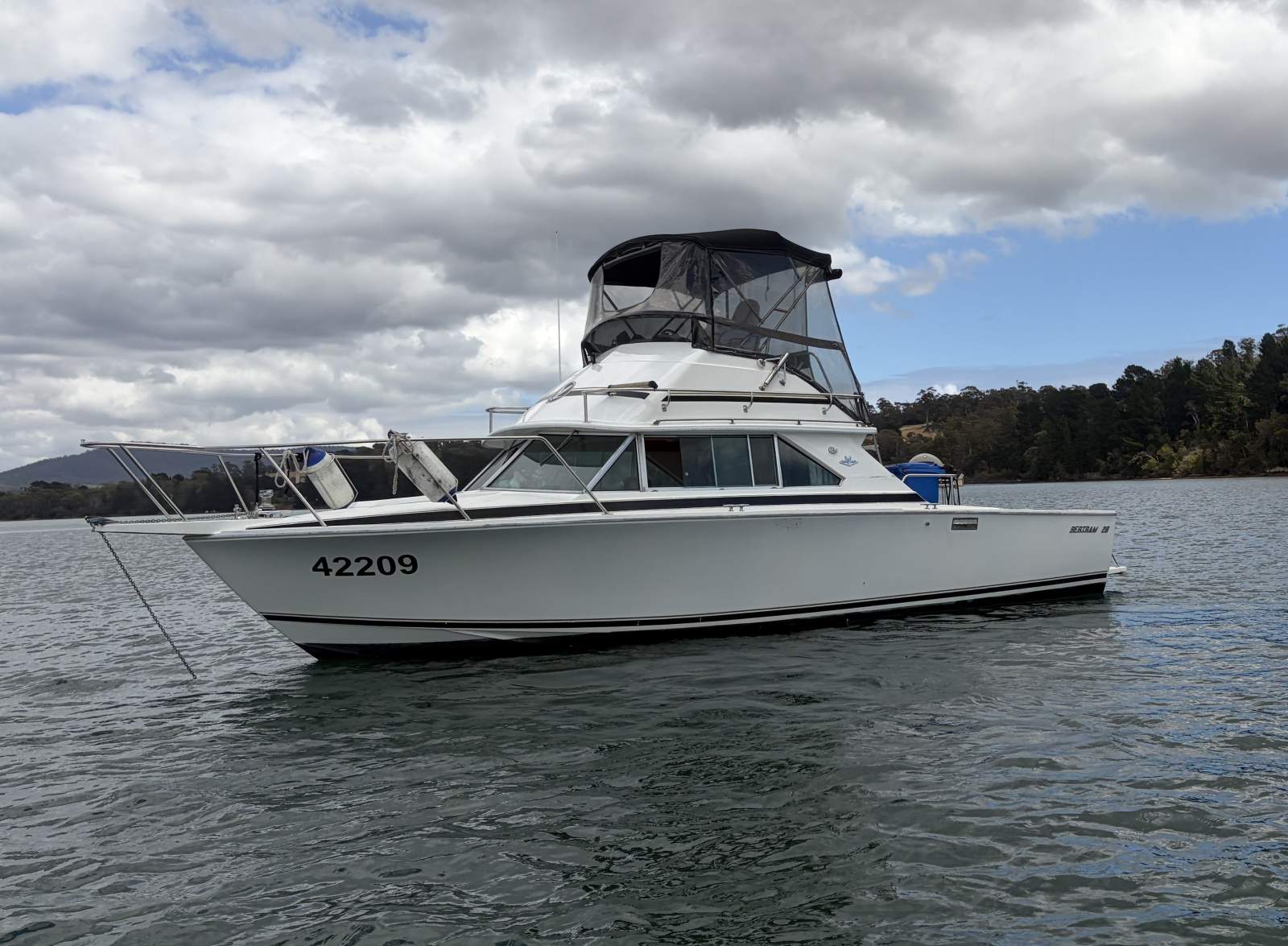Bertram Caribbean 28 Flybridge 1987 Model Zoommmm