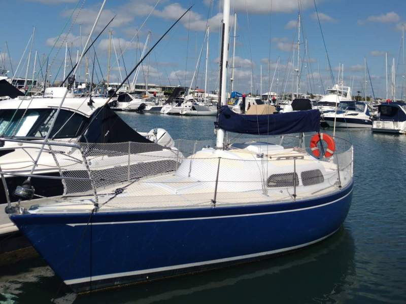 Cavalier 26