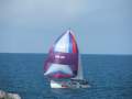 Spider 28