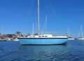 Colvic 296