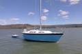 Colvic 296