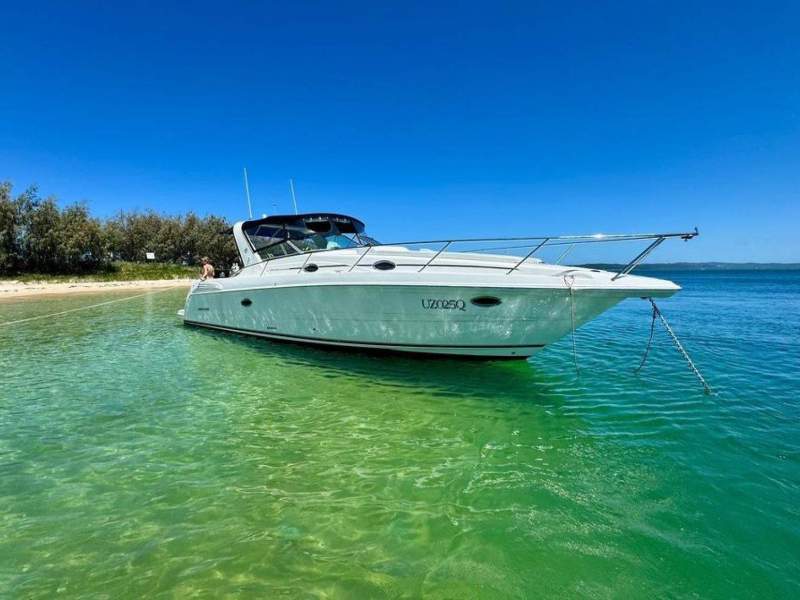 Mustang 3800 Sportcruiser