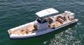 Brig Eagle 10