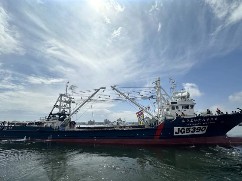55m Purse Seiner Fish Carrier