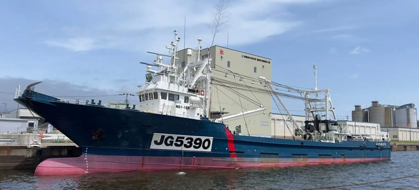 55m Purse Seiner Fish Carrier