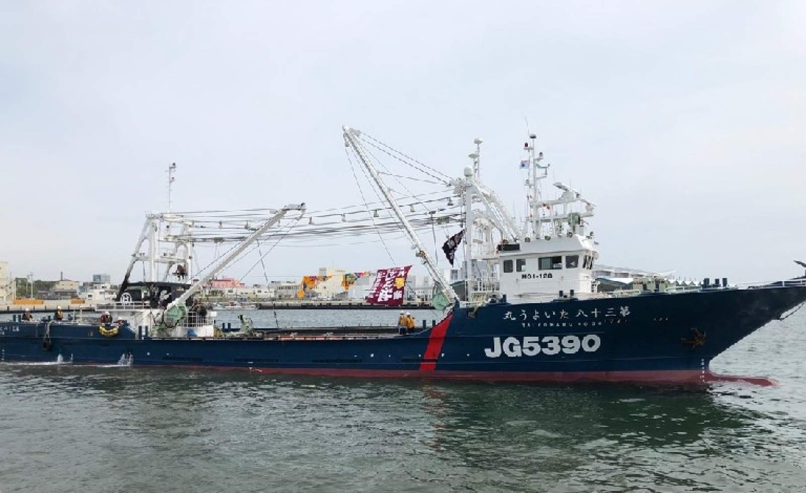 55m Purse Seiner Fish Carrier