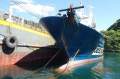 55m Purse Seiner Fish Carrier