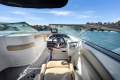 Crownline E305S