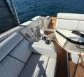Sea Ray 270 Sundeck