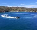 Sea Ray 270 Sundeck