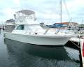 Caribbean 35 Flybridge Cruiser Mk II Bertram Repowered