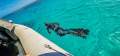 Gemini 8.5 RIB Commercial Boat & Business Agnes Water