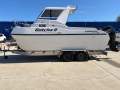 Leisurecat 6000 Brumby
