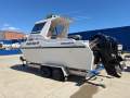 Leisurecat 6000 Brumby